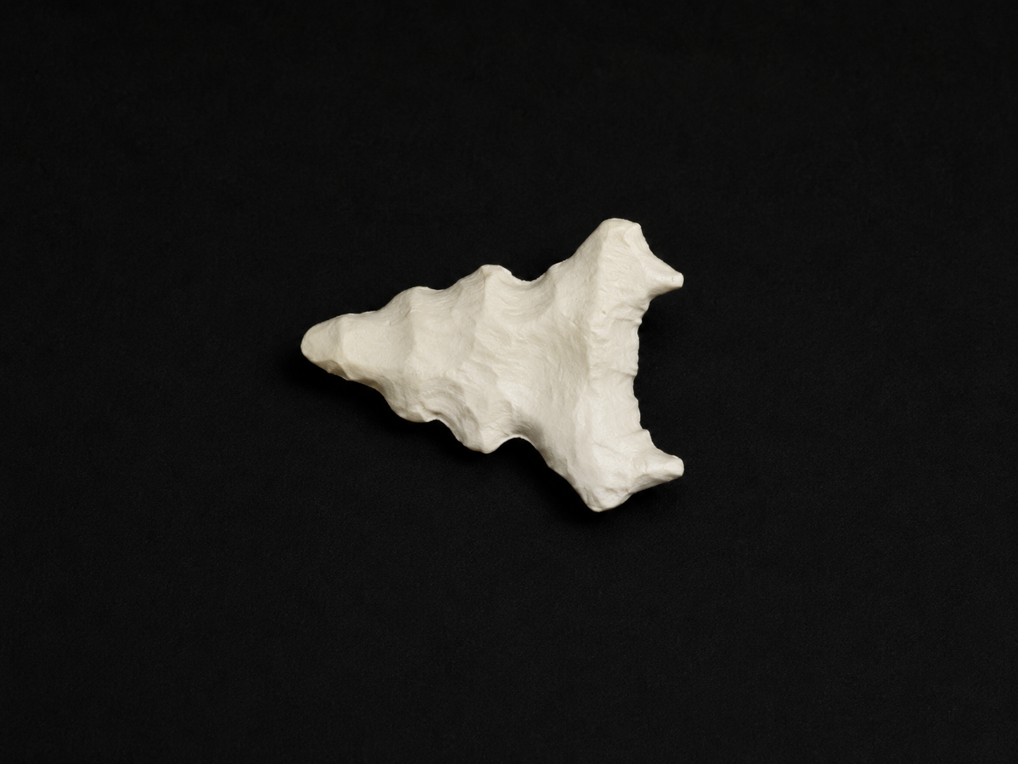 Coccyx